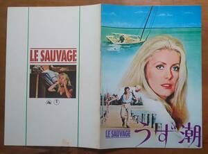 映画パンフ +チラシｘ2 カトリーヌ・ドヌーヴ Catherine Deneuve「 うず潮 /Le Sauvage 」 イヴ・モンタン Yves Montand T・ロバーツ