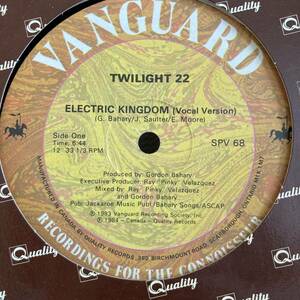 Twilight 22 - Electric Kingdom 12 INCH