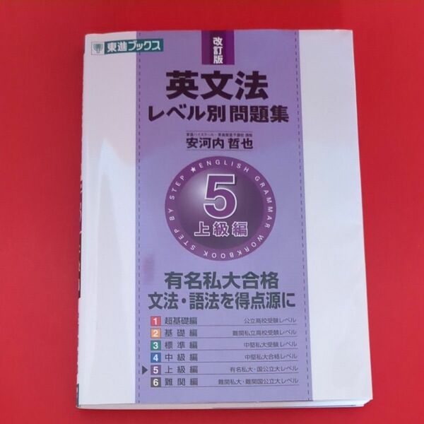 英文法レベル別問題集　５ （東進ブックス　レベル別問題集シリーズ） （改訂版） 安河内哲也／著