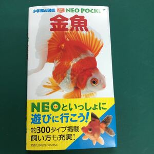  Shogakukan Inc.. illustrated reference book NEO POCKET goldfish 