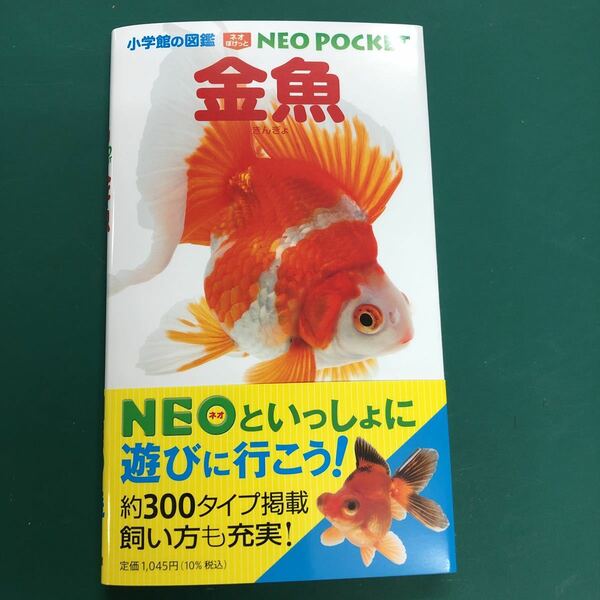 小学館の図鑑　NEO POCKET 金魚