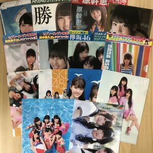 ヤングアニマル　EX大衆　エンタメ 付録　欅坂46　SKE48　田中美久 矢吹奈子 原幹恵 松岡菜摘 齊藤京子 他 合計14枚 クリアファイル (8558)