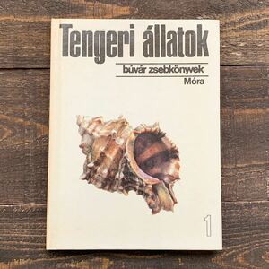  Hungary. old sea . animal. illustrated reference book (Tengeri allatok 1979 year )/ antique Vintage Europe . crab jellyfish iso silver tea k octopus /