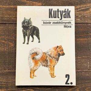 ハンガリーの古い犬の図鑑(Kutyak 2 1989年)/アンティーク ヴィンテージ ヨーロッパ 犬の絵 犬のイラスト/