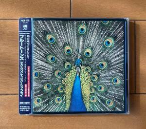 ブルートーンズ／エクスペクティング・トゥ・フライ　★国内盤　廃盤！★　Bluetones