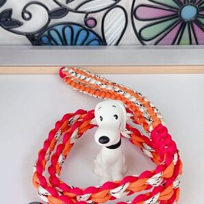 パラコードリード小型〜中型犬用