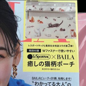 BAILA バイラ 2023年 4月号 付録 LESPORTSAC 癒しの猫柄Wファスナー ポーチ 旅行用 メイク用品 小物入れ