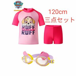 パウパトロール 水着 セパレーツタイプ 3点セット スカイ 女の子 新品120