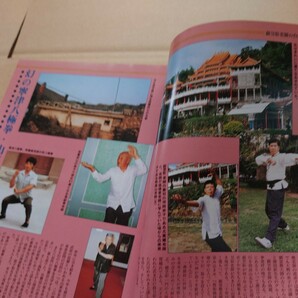 武藝１９９４ 冬 ｂａｂジャパン 格闘武道武術中国拳法の画像3