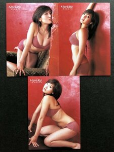 相楽のり子　さくら堂 2004　61～　3枚セット　水着 グラビア アイドル トレカ トレーディングカード