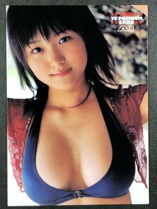 愛衣　ヤングチャンピオン 2005　088　水着 グラビア アイドル トレカ トレーディングカード