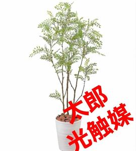 光触媒　人工観葉植物　ウォールグリーン　フェイクグリーン　フラワー　シマトネリコ150