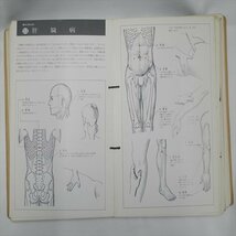 専門書◆家庭でできるツボ治療　指導　東京教育大教授　芹沢勝助【AR23040503】_画像9