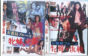 d8922 ■ケース無 R中古DVD「女番長ブルース 牝蜂の逆襲＆挑戦」2巻セット※“挑戦”ヒビ有 レンタル落ち