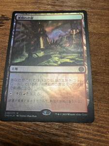 MTG　日本語　同梱発送歓迎！黒割れの崖　foil