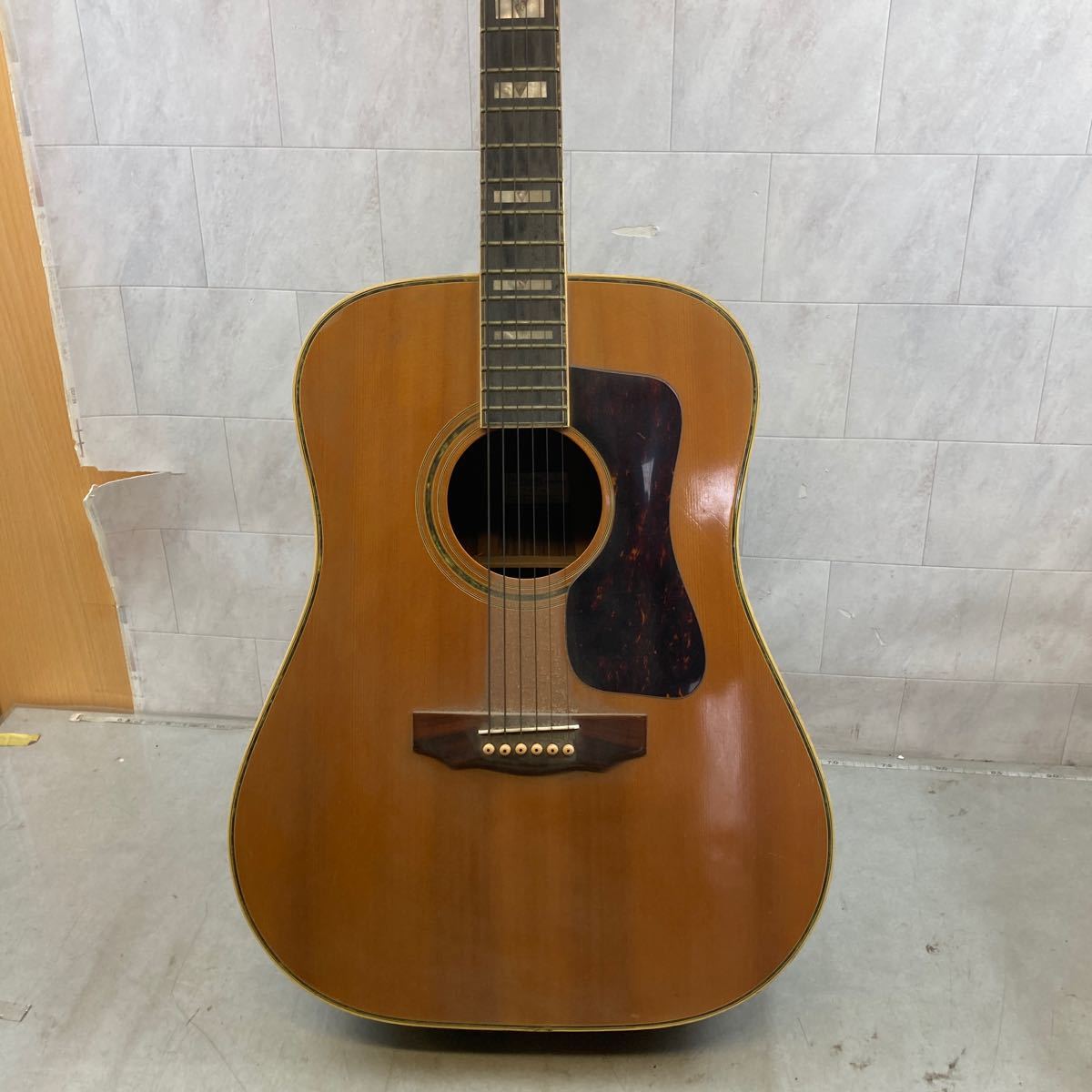 ヤフオク! -「kansas ギター」(ギター) (楽器、器材)の落札相場・落札価格