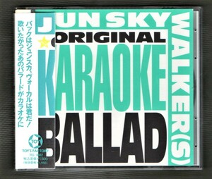 Ω Beauty Junsky Walkers Ballad Colorooke 10 Songs 1991 CD/White Рождественские каникулы Сборка/J (S) W