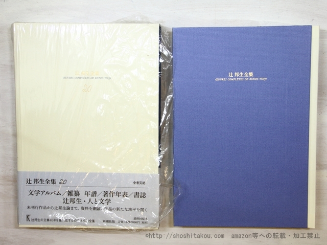 2023年最新】Yahoo!オークション -辻邦生全集の中古品・新品・未使用品一覧