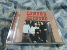 Lynyrd Skynyrd / What's Your Name　　　　　3枚以上で送料無料_画像1