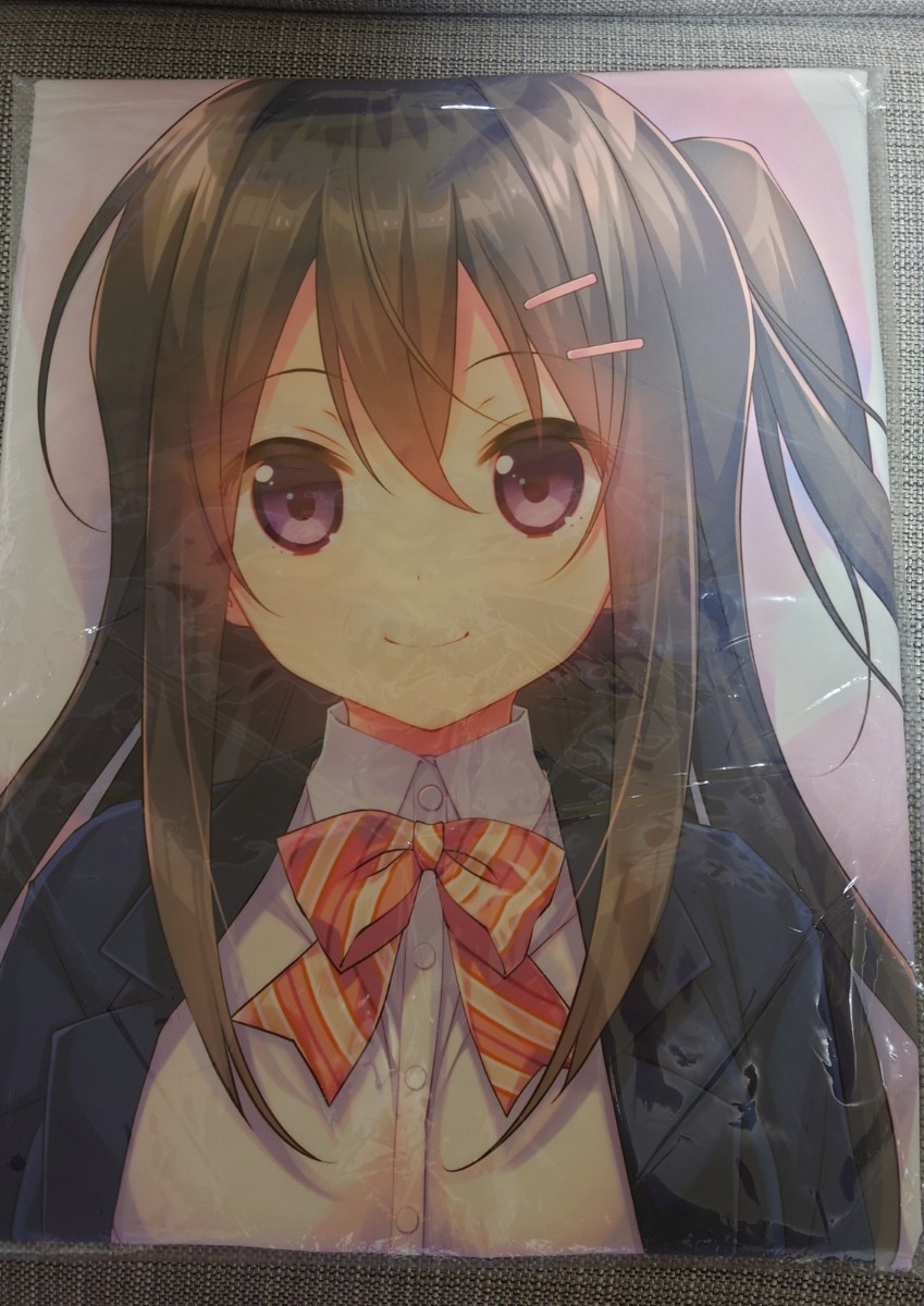 ヤフオク! -「ties 抱き枕カバー」の落札相場・落札価格
