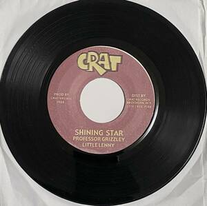 視聴あり / Duck Riddim / SHINING STAR - PROFESSOR GRIZZLY & LITTLE LENNY / 盤質◎ / reggae レゲエ レコード 7インチ