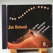 即決【輸入盤 SHARP NINE RECORDS】ジム・ロトンディ　JIM ROTONDI　THE PLEASURE DOME_画像1