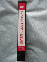 ＶＨＳビデオ かとうれいこ(星野麗子)【マリンブルーに揺れる夏】'90クラリオンガール、30分 大陸書房 1990.4.10　IV-1054　　　　　 j420_画像5