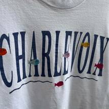 90s USA古着 プリントTシャツ 魚 刺繍 デザイン カラフル 白 ホワイト Hanes ヘインズ アメリカ古着 vintage ヴィンテージ Lサイズ_画像8