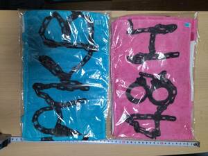 初期 AKB48 マフラー タオル 新品 AKB48 Muffler Towel hand towel