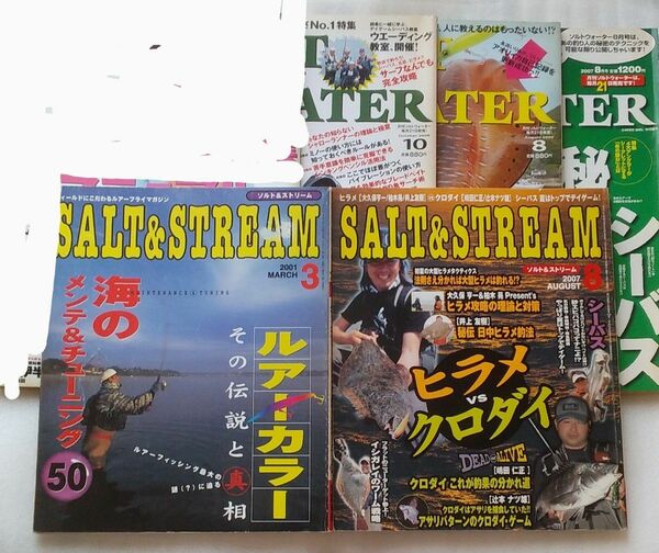 釣り雑誌　SALT＆STREAM 2冊　SALT＆WATER 3冊　計5冊セット