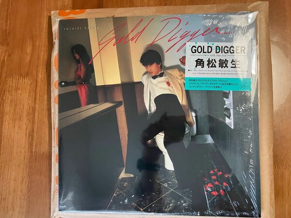 角松敏生　アナログ　レコード　Gold Digger 名盤　Tokyo Tower, No End Summer 収録