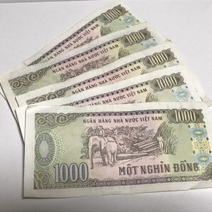 ベトナム紙幣 1千ドン5枚 まとめ売り