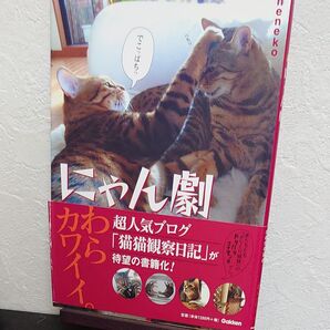 にゃん劇 neneko/著