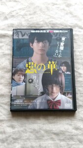 悪の華 伊藤健太郎 玉城ティナ 中古 DVD 送料180円～