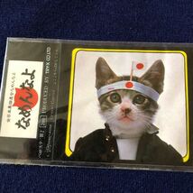 ＊昭和レトロ＊激レア希少品　なめんなよ 全日本暴猫連合　ステッカー　当時物_画像2