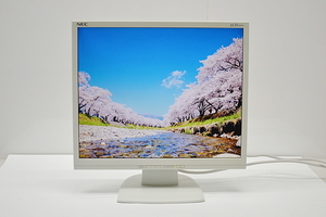 中古液晶モニター/19型液晶ディスプレイNEC LCD191V【中古】