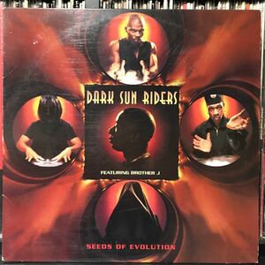 Dark Sun Riders / Seeds Of Evolution US盤LP