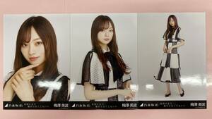 乃木坂46 梅澤美波 生写真 夜明けまで強がらなくてもいい 会場 3枚コンプ/No6888