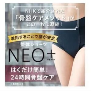 3Lサイズ 整体ショーツNEO+ 補正インナー 骨盤 腰サポート 健康 女性用