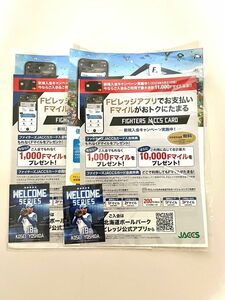 北海道日本ハムファイターズ 吉田輝星投手 来場者配布カード　2枚セット