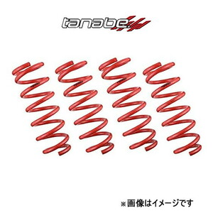  Tanabe DEVIDE UP210 up suspension rear left right set Minicab Van DS64V (DA64WUR×2)TANABE suspension springs 