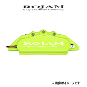 Rogam Capiper Cover (извести зеленый/белый) 1 Car RX GYL15W ROJAM SAPIPER