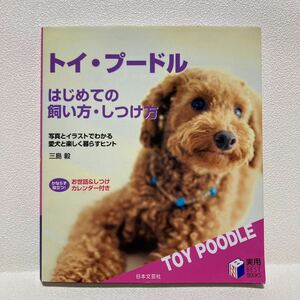  toy poodle start .. .. person upbringing person 