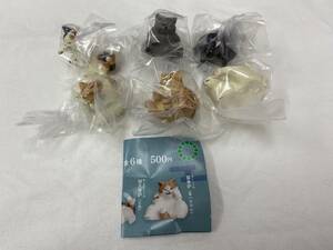 [ prompt decision * free shipping ] white ... cat all 6 kind comp set /....ga tea 