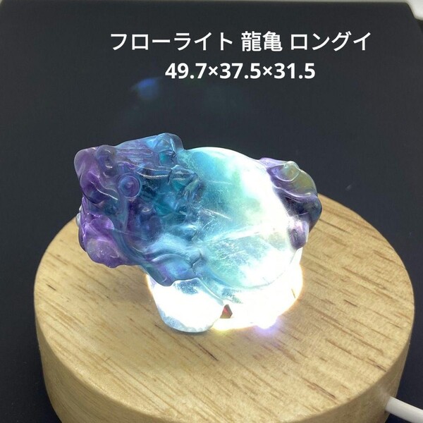 処分価格★S52 フローライト 龍亀 ロングイ 49.7×37.5×31.5