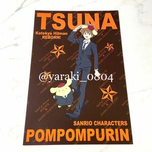  Katekyo Hitman REBORN Reborn * Sawada ..tsuna× Sanrio privilege postcard not for sale Pom Pom Purin 