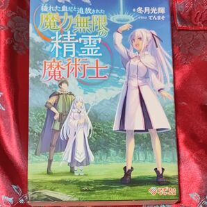 穢れた血だと追放された魔力無限の精霊魔術士 （ツギクルブックス） 冬月光輝／著