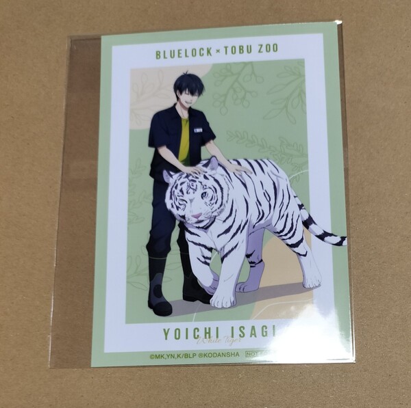 ■非売品■ ブロマイド 1枚 ランダム品 東武動物公園 ブルーロック ブルロ 描き下ろしイラスト 飼育係 潔世一 潔