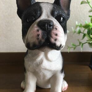 リアルでかわいい犬の置物♪フレンチブルドッグ Cute Puppy フレブルの画像6