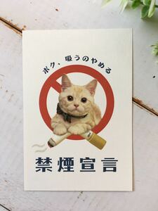 猫のポストカード♪「禁煙宣言」　ボク、吸うのやめる